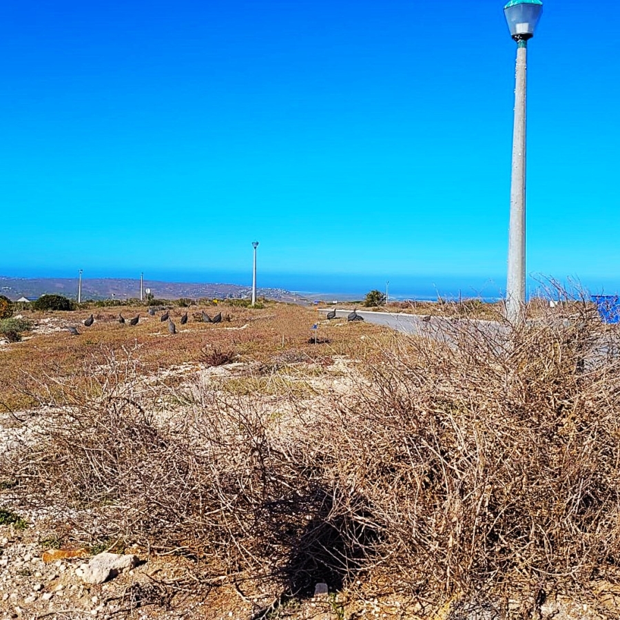 0 Bedroom Property for Sale in Hoogland Western Cape